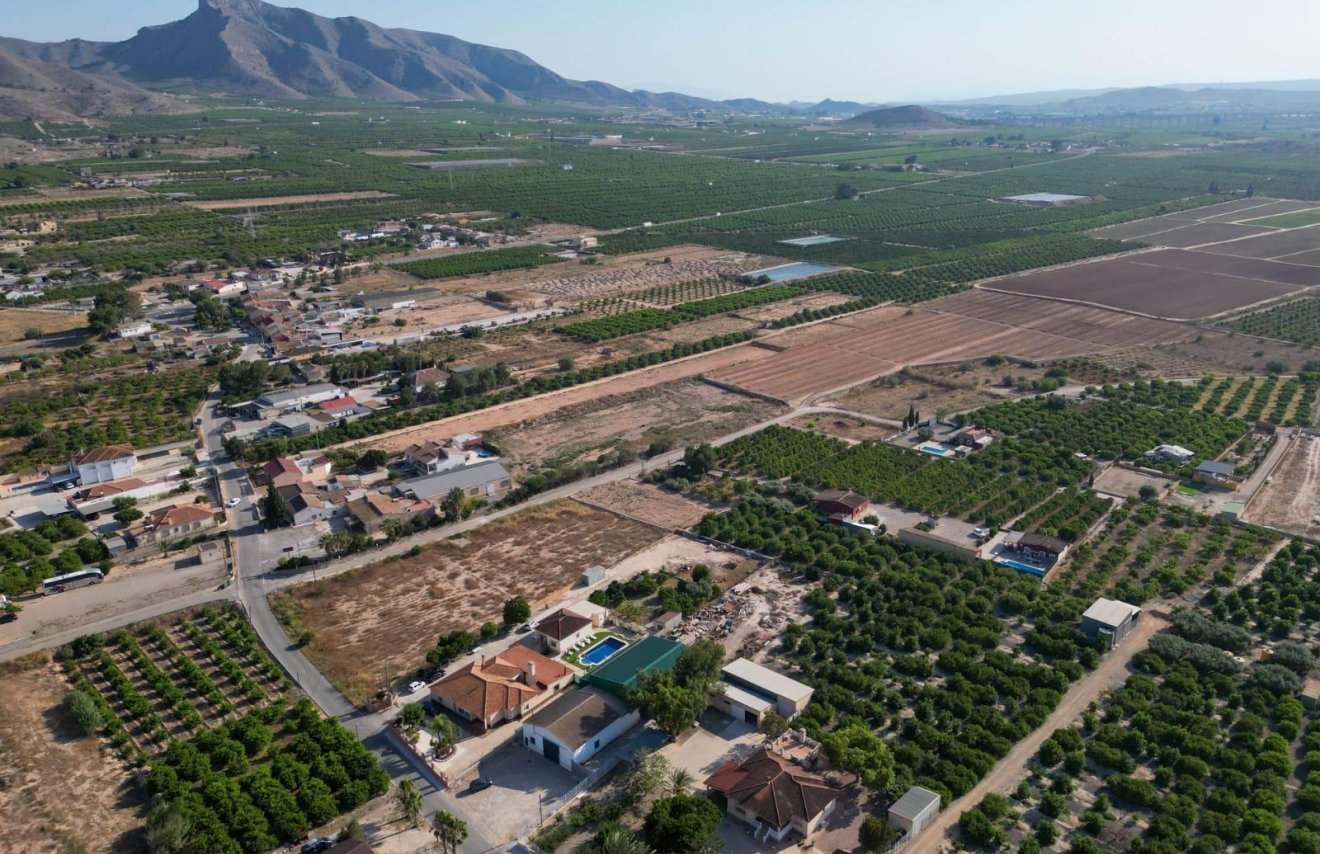Reventa - Chalet - Orihuela - Montepinar-La Aparecida-Raiguero