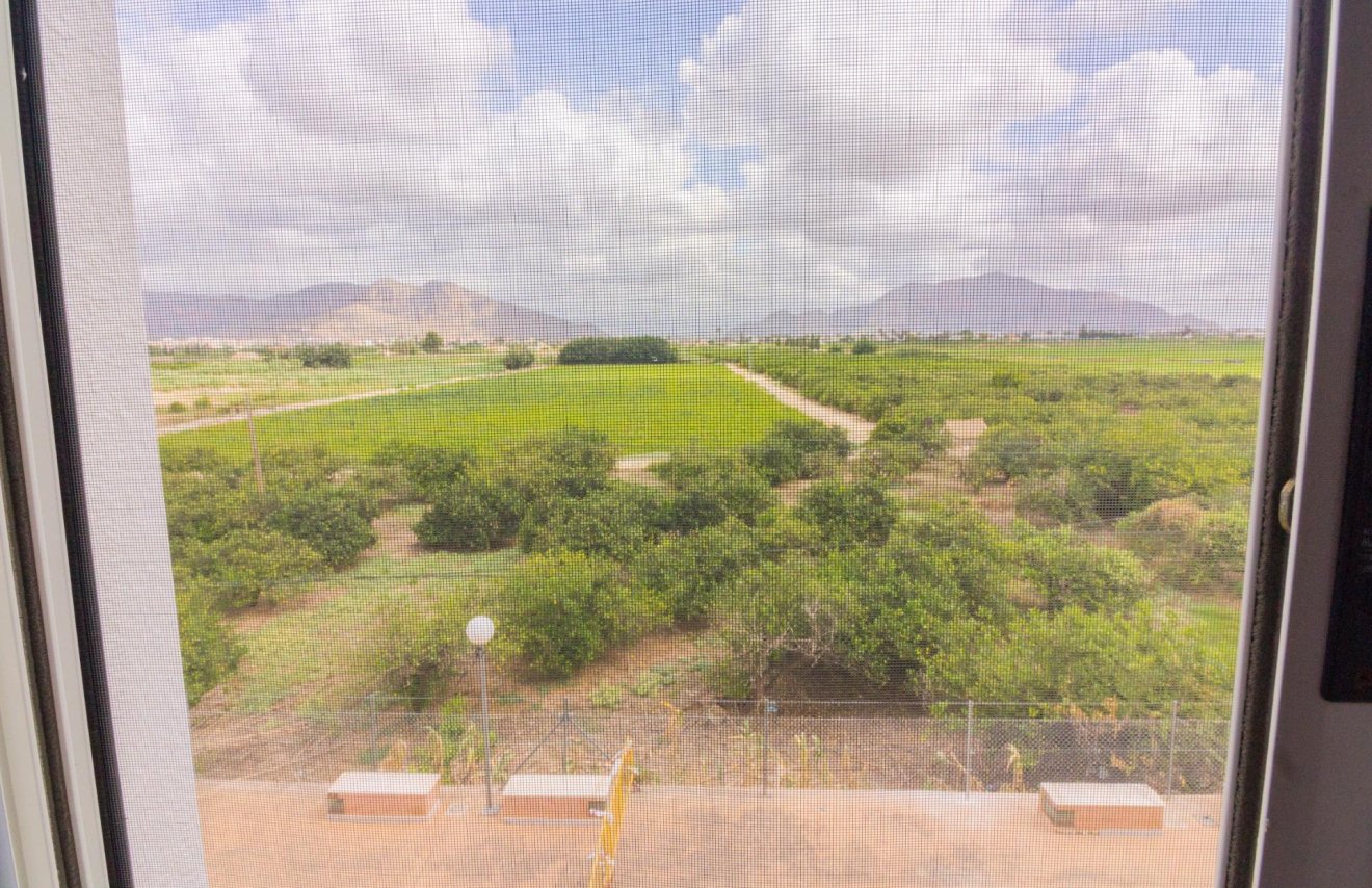 Reventa - Adosado - Orihuela - Desamparados-Hurchillo-Torremendo