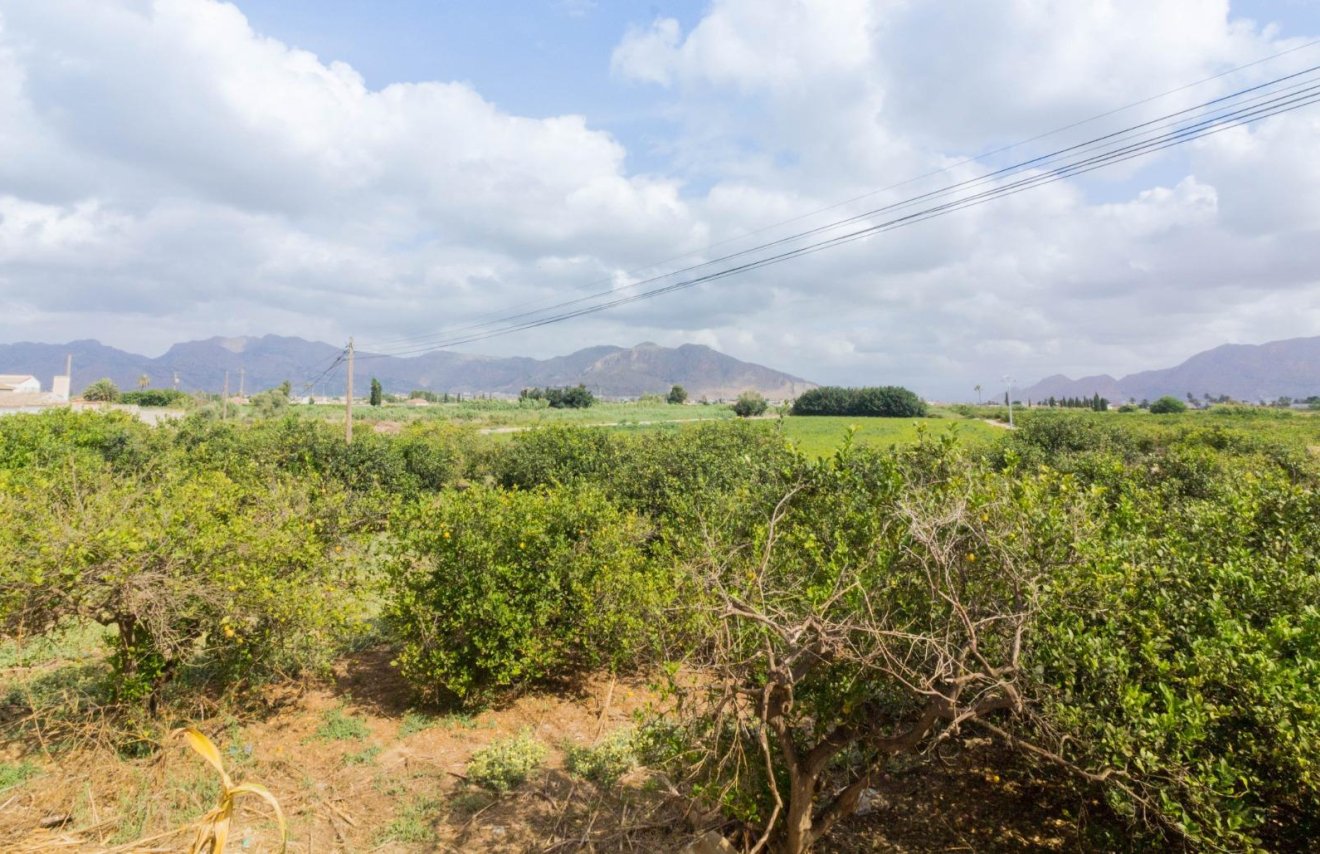 Reventa - Adosado - Orihuela - Desamparados-Hurchillo-Torremendo