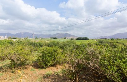 Reventa - Adosado - Orihuela - Desamparados-Hurchillo-Torremendo