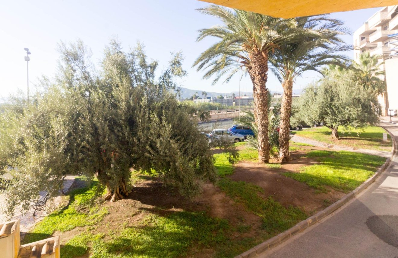 Revente - Local comercial - Orihuela