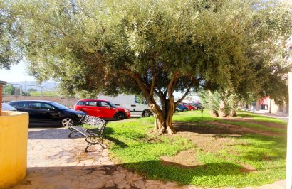 Revente - Local comercial - Orihuela