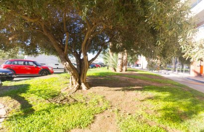 Revente - Local comercial - Orihuela