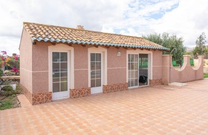 Reventa - Chalet - Albatera - Partida lomas