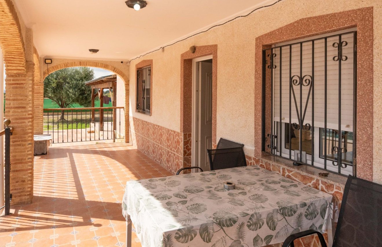 Reventa - Chalet - Albatera - Partida lomas