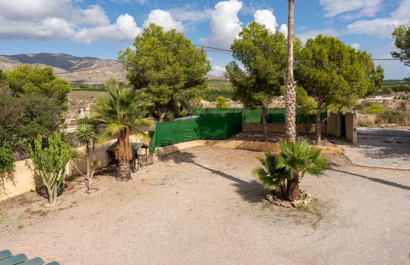 Reventa - Chalet - Albatera - Partida lomas