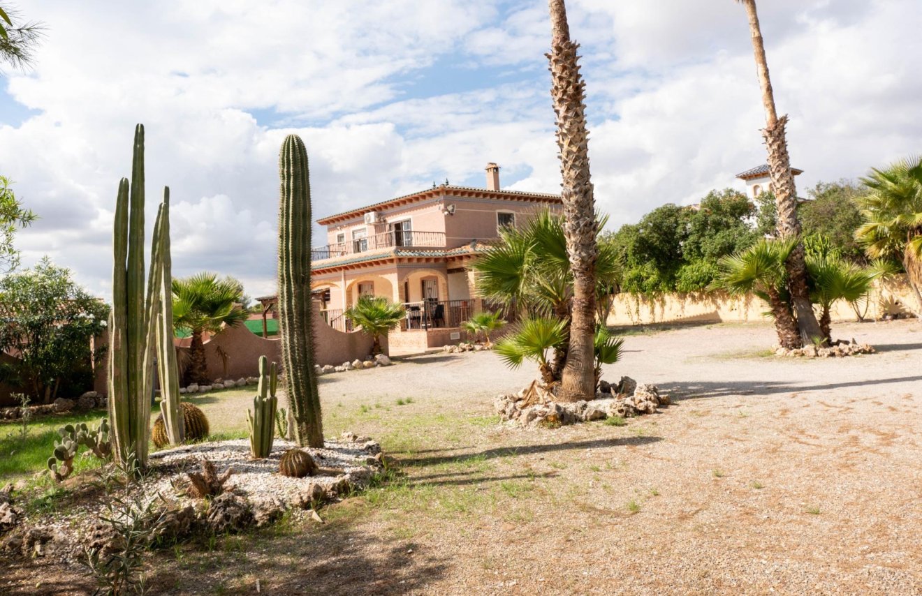 Reventa - Chalet - Albatera - Partida lomas