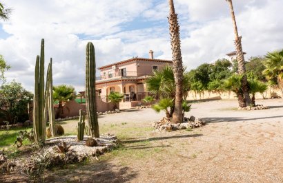 Reventa - Chalet - Albatera - Partida lomas