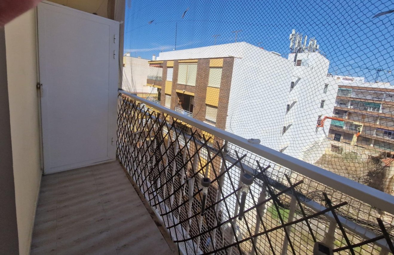 Reventa - Estudio - Torrevieja - Paseo maritimo