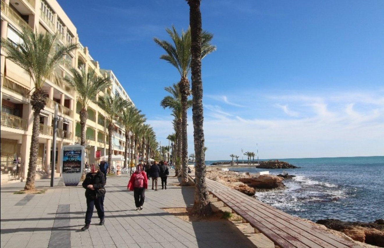 Resale - Study - Torrevieja - Paseo maritimo