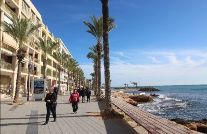 Revente - Étude - Torrevieja - Paseo maritimo