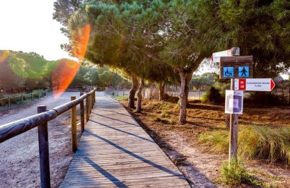 Revente - Chalet - Torrevieja - La siesta