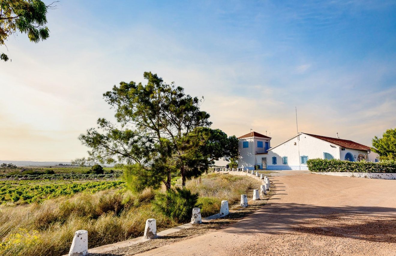 Revente - Chalet - Torrevieja - La siesta