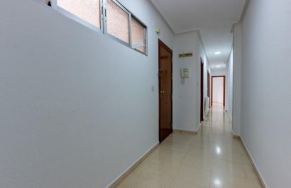 Reventa - Piso - Orihuela - Zona Centro