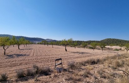 Resale - Terreno rural - Abanilla - ABANILLA