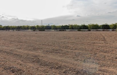 Reventa - Terreno rural - Benferri - Campo