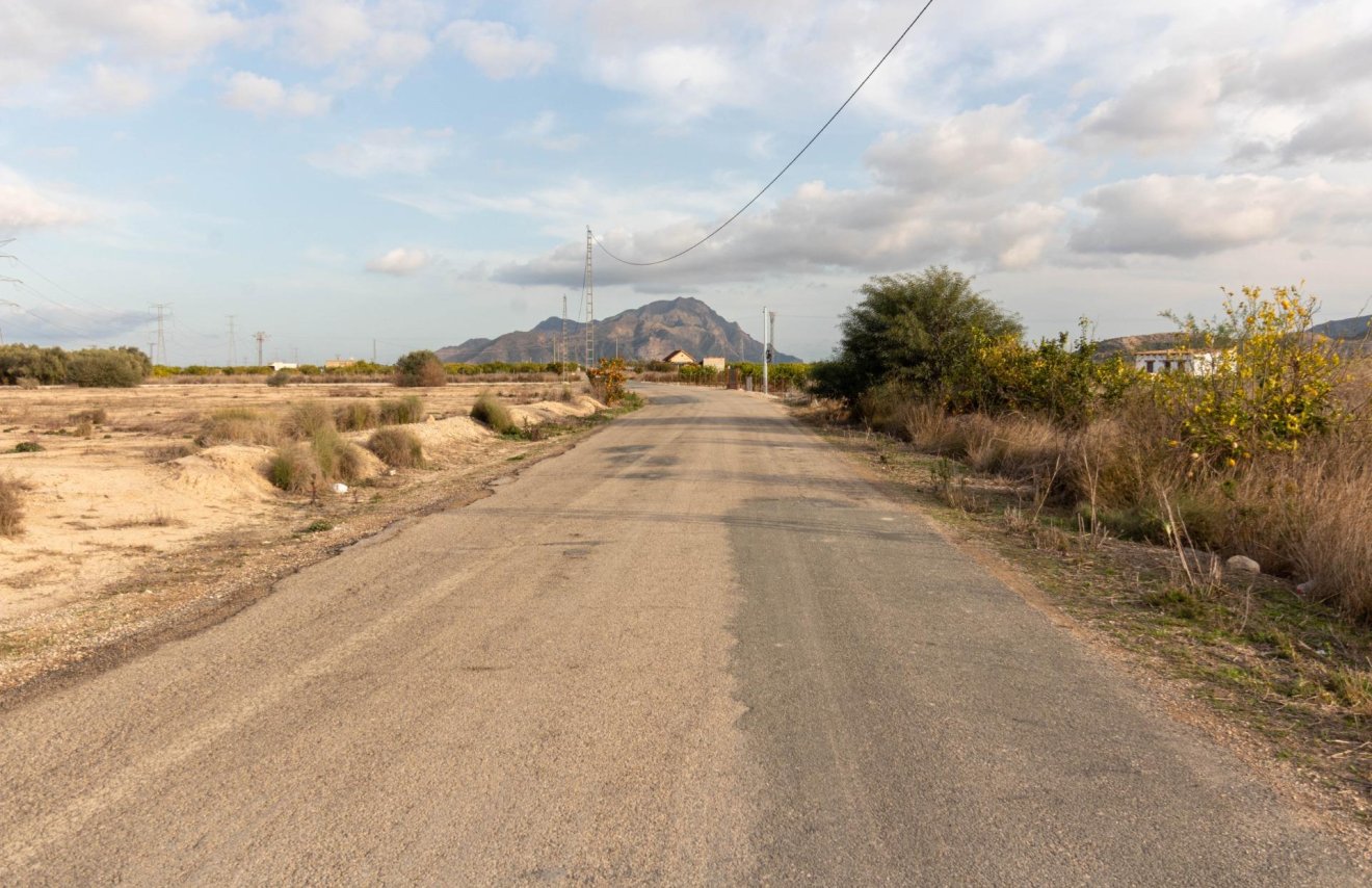 Reventa - Terreno rural - Benferri - Campo