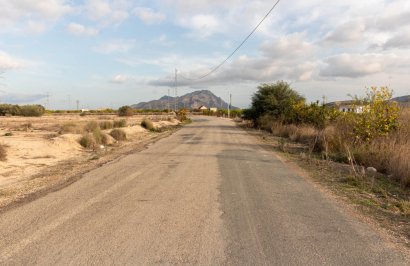 Revente - Terreno rural - Benferri - Campo