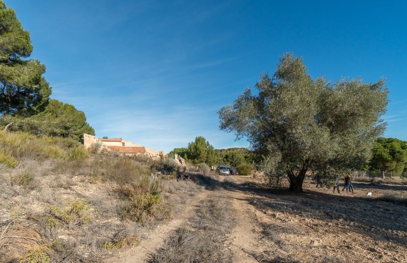 Reventa - Casa con terreno - Pilar de la Horadada - Pinar de la Perdiz