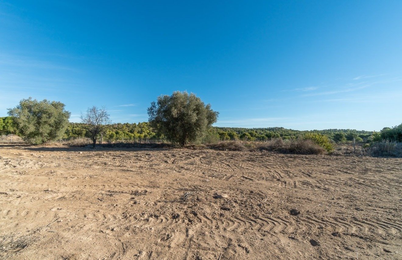 Revente - Casa con terreno - Pilar de la Horadada - Pinar de la Perdiz