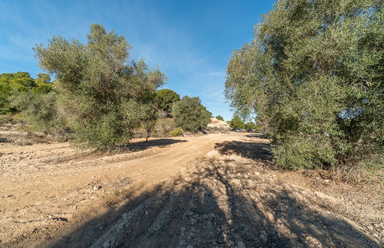 Revente - Casa con terreno - Pilar de la Horadada - Pinar de la Perdiz