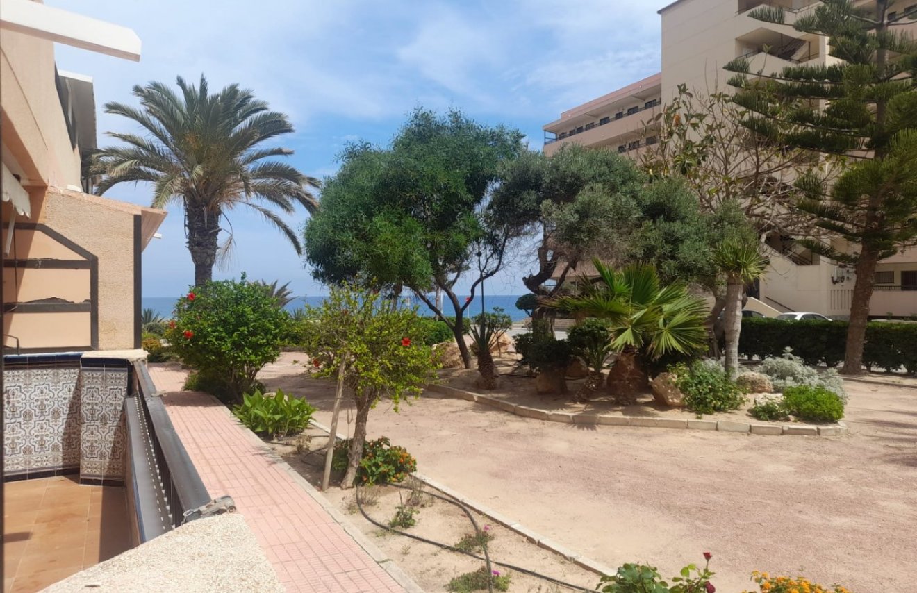 Resale - Apartamento - Torrevieja - Cabo cervera