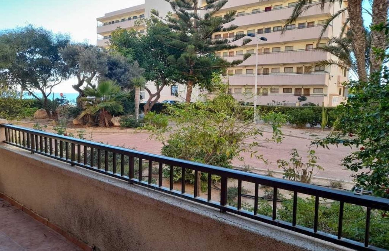 Reventa - Apartamento - Torrevieja - Cabo cervera