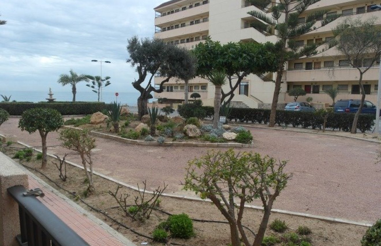 Reventa - Apartamento - Torrevieja - Cabo cervera