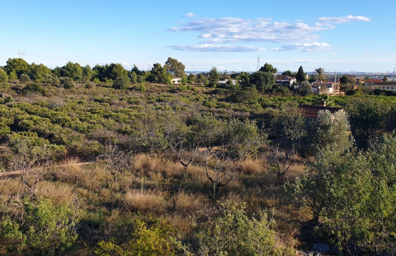 Revente - Solar - Naquera - TRES RUTES