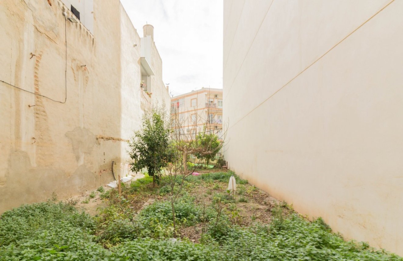 Revente - Casa con terreno - Callosa de Segura - C- FILARMONICA