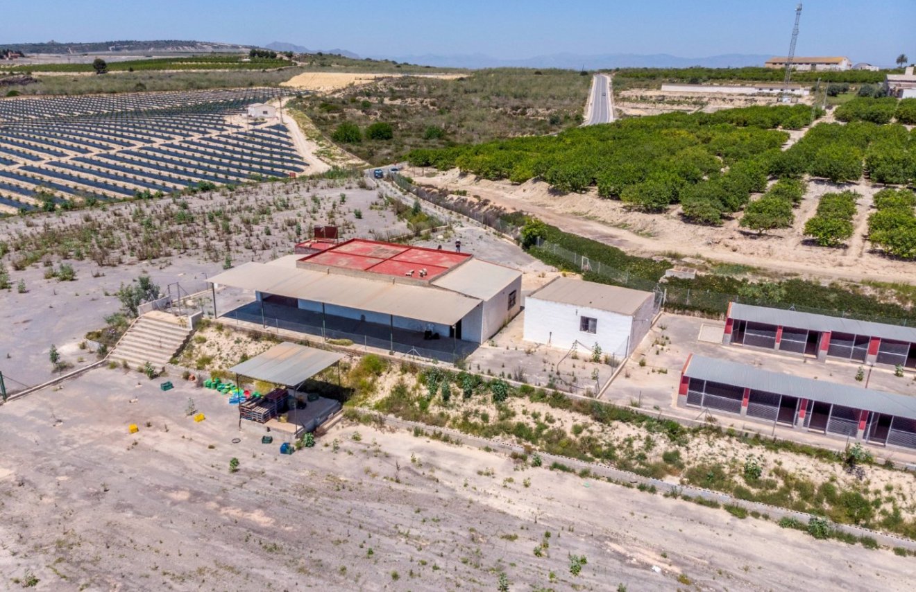 Revente - Finca rústica - Montesinos - LOS MONTESINOS