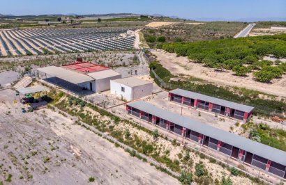 Revente - Finca rústica - Montesinos - LOS MONTESINOS