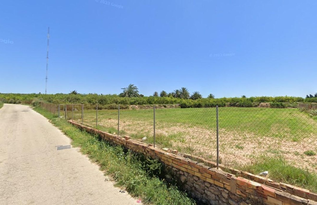 Revente - Terreno rural - Guardamar del Segura - CAMPO