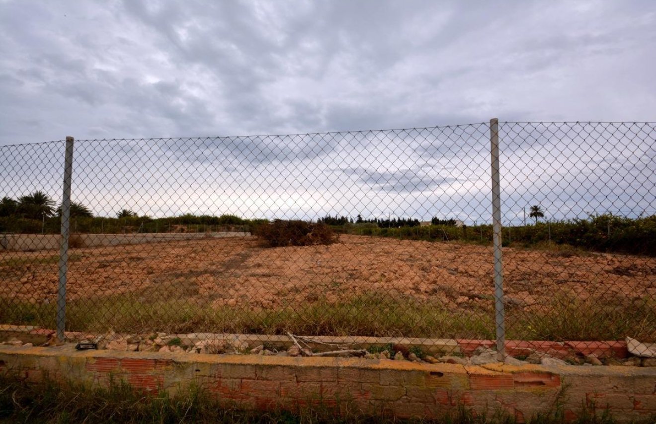 Resale - Terreno rural - Guardamar del Segura - CAMPO