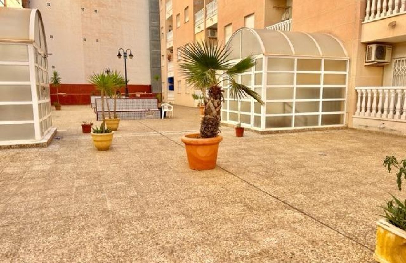 Resale - Penthouse - Torrevieja - Estacion de autobuses