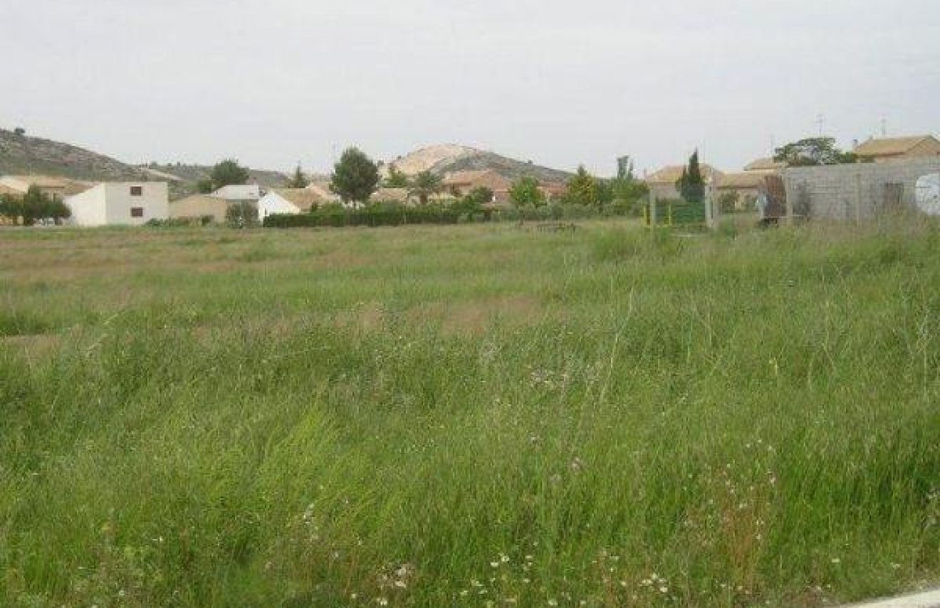 Revente - Terreno rural - Jumilla - CAÑADA DEL TRIGO