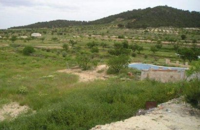 Resale - Terreno rural - Jumilla - CAÑADA DEL TRIGO