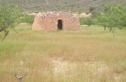 Resale - Terreno rural - Jumilla - CAÑADA DEL TRIGO