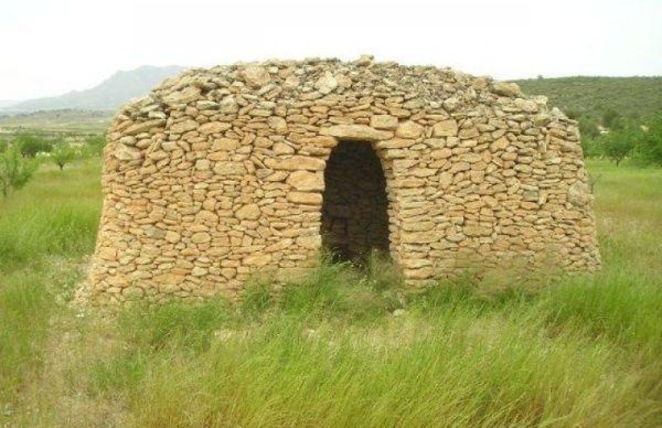 Reventa - Terreno rural - Jumilla - CAÑADA DEL TRIGO