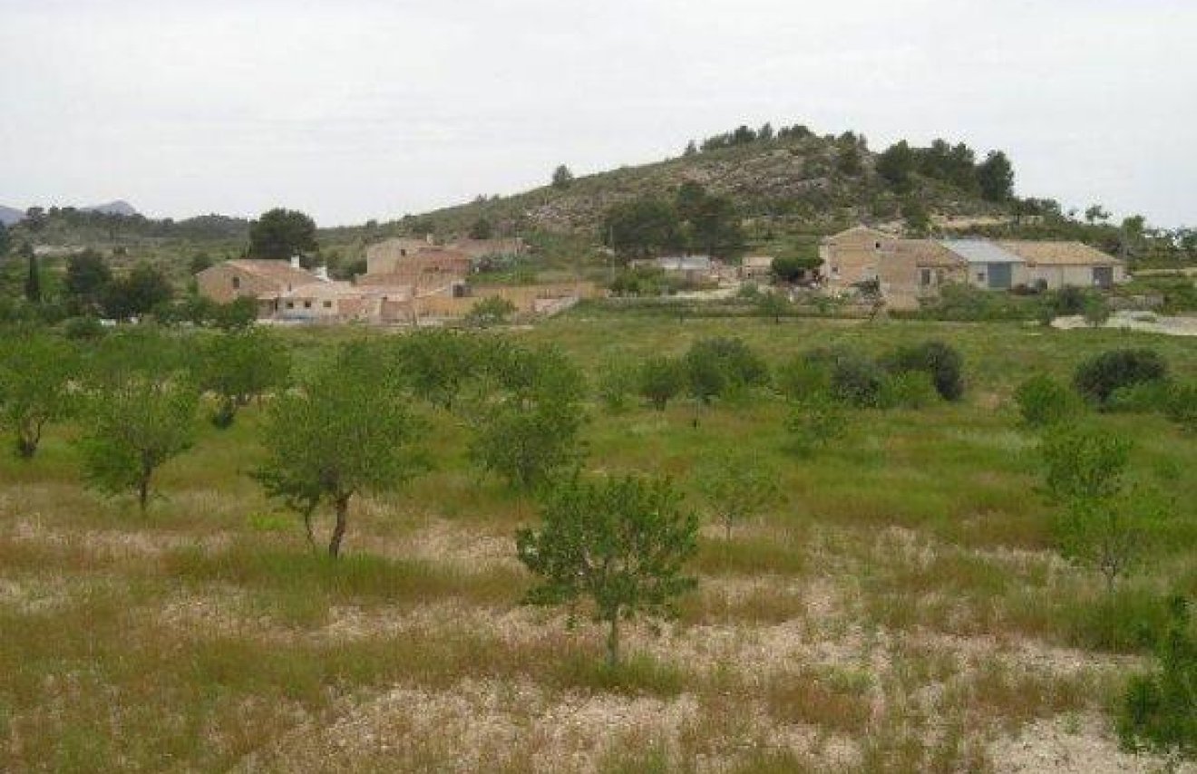 Resale - Terreno rural - Jumilla - CAÑADA DEL TRIGO