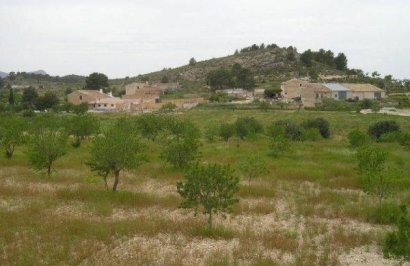 Resale - Terreno rural - Jumilla - CAÑADA DEL TRIGO