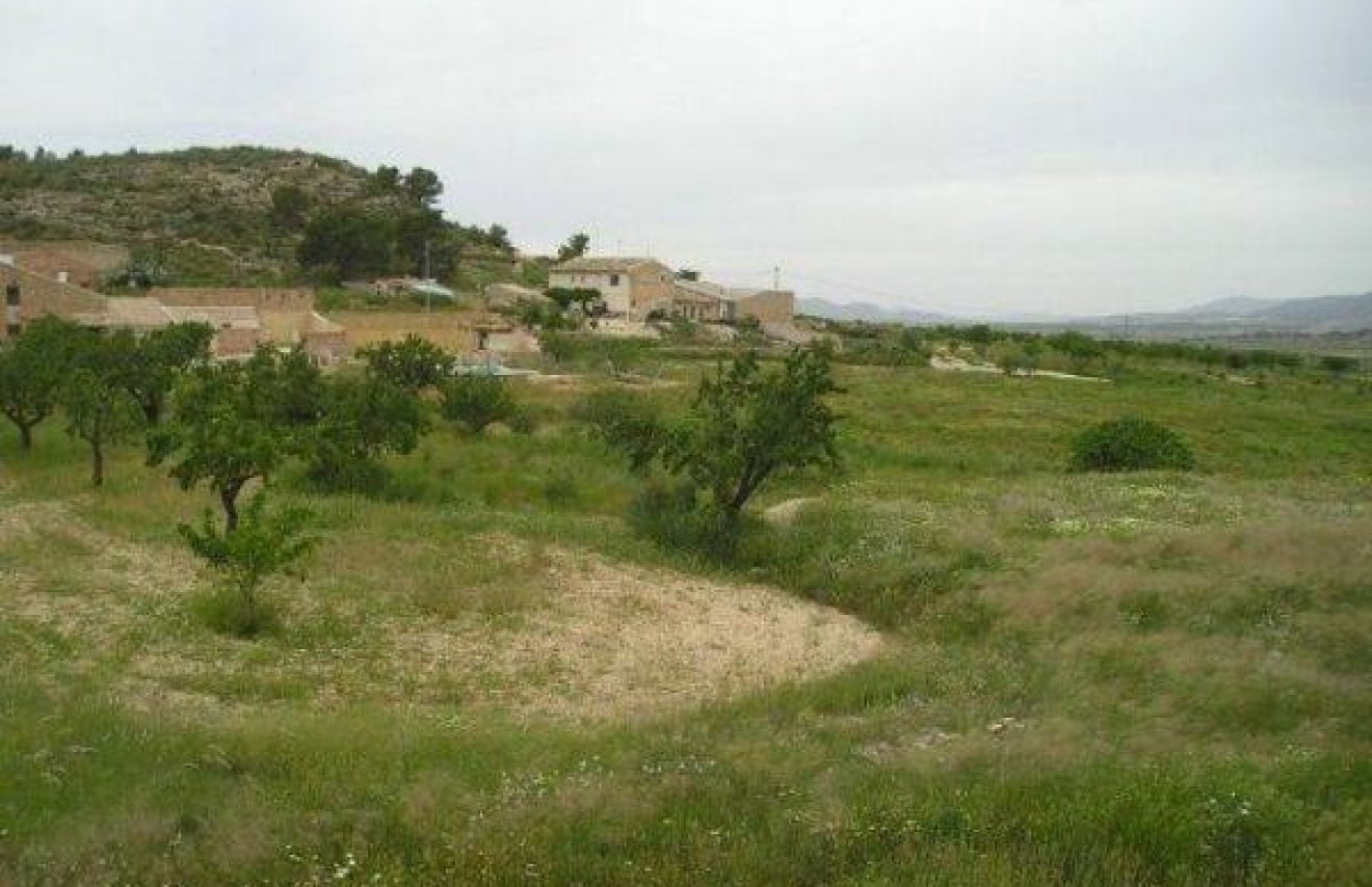 Resale - Terreno rural - Jumilla - CAÑADA DEL TRIGO