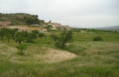 Resale - Terreno rural - Jumilla - CAÑADA DEL TRIGO