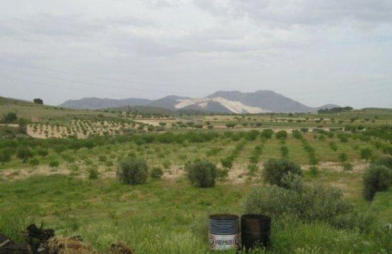 Revente - Terreno rural - Jumilla - CAÑADA DEL TRIGO