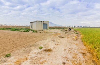 Reventa - Terreno rural - Callosa de Segura - CALLOSA