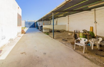 Resale - Nave industrial - Catral - C- LA PURISIMA