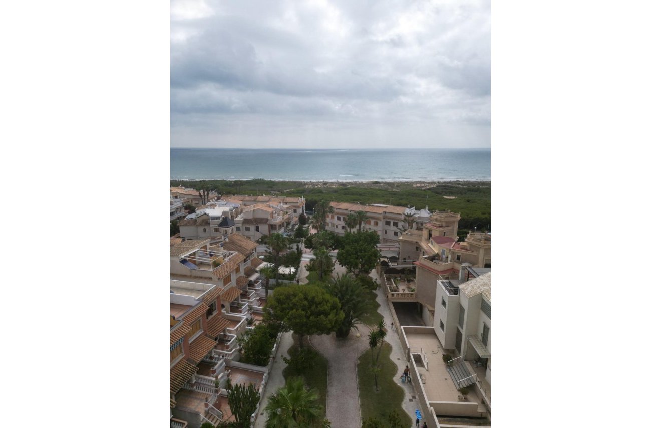 Revente - Maison de ville - Guardamar del Segura - moncayo