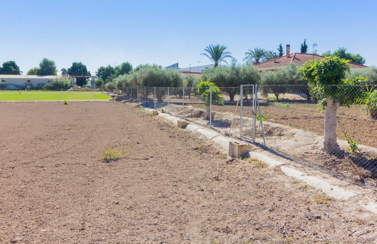 Revente - Terreno rural - Callosa de Segura - CRA. CALLOSA - CATRAL