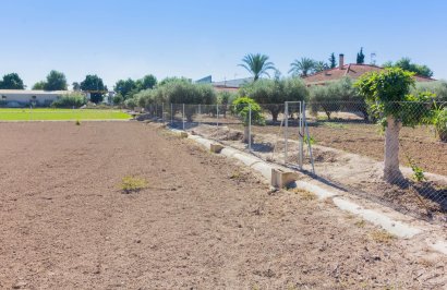 Revente - Terreno rural - Callosa de Segura - CRA. CALLOSA - CATRAL