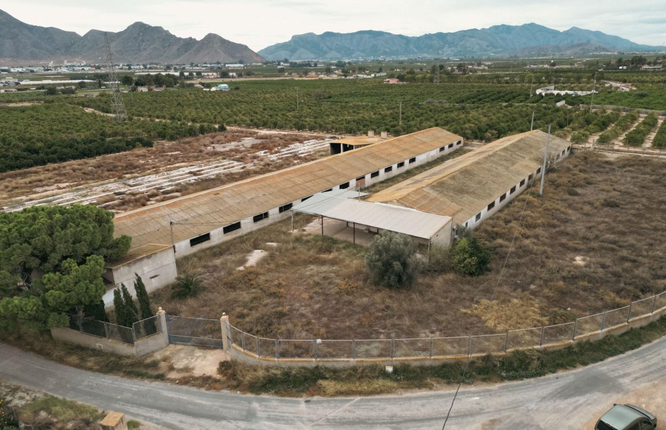 Revente - Terreno rural - Orihuela - La Murada-Los Vicentes